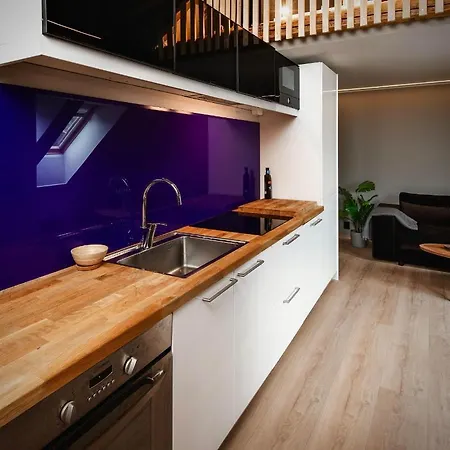 Nyrenovert Leiliget 1 Min Unna Solsiden * Trondheim